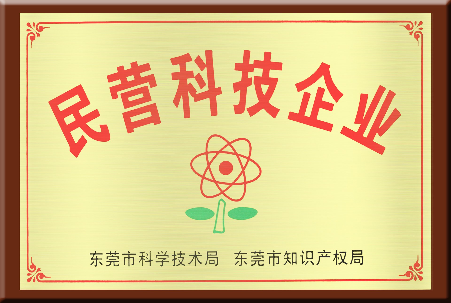 民營科技企業(yè)